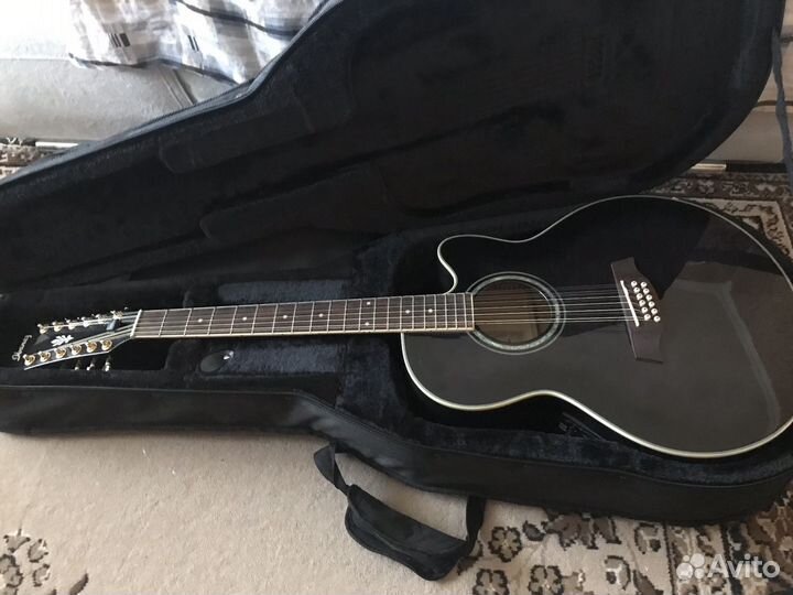 Гитара Ibanez AEL2012E-TKS1204+хофр