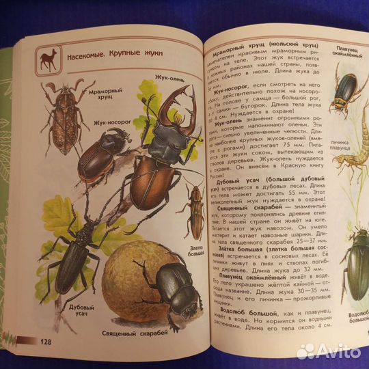 Атлас определитель От земли до неба