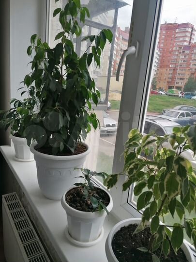 1-к. квартира, 37,2 м², 1/10 эт.