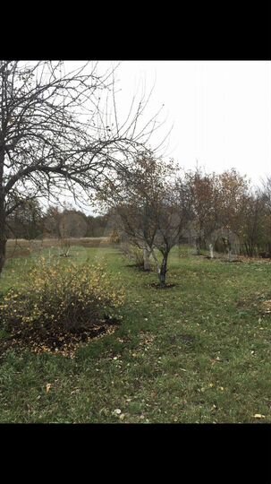 Участок 40 сот. (СНТ, ДНП)