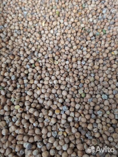 Нут корм для животных