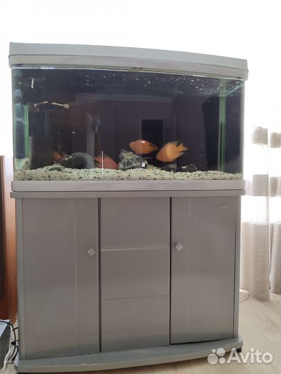 Аквариум с тумбой на 240 л