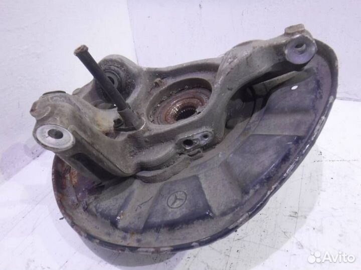 Кулак задний левый