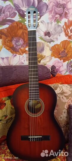 Гитара Valencia 4/4 с чехлом