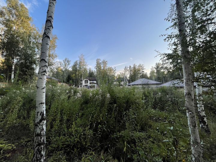 Участок 15 сот. (ИЖС)