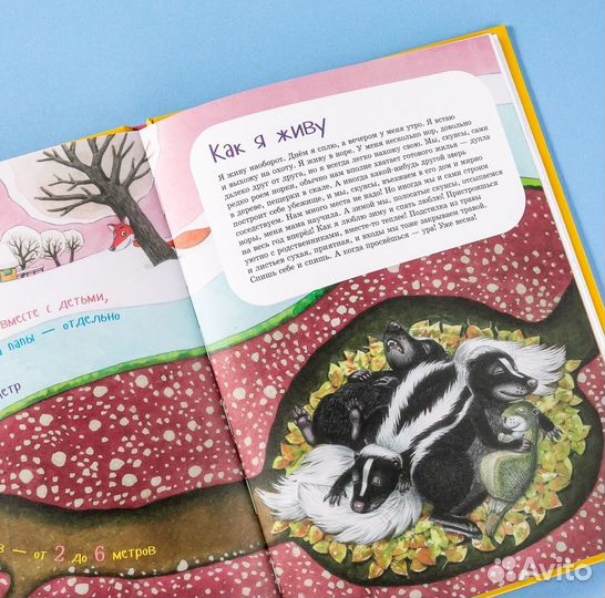 Я скунс Устинова Татьяна Витальевна