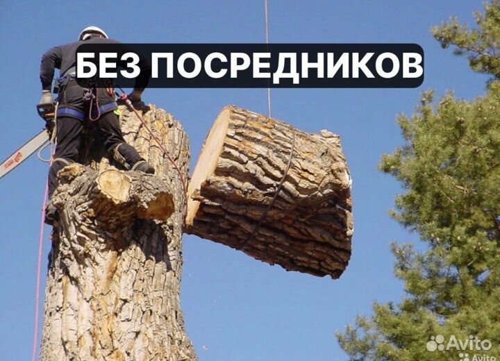 Спил деревьев расчистка участка дробилка выкорч