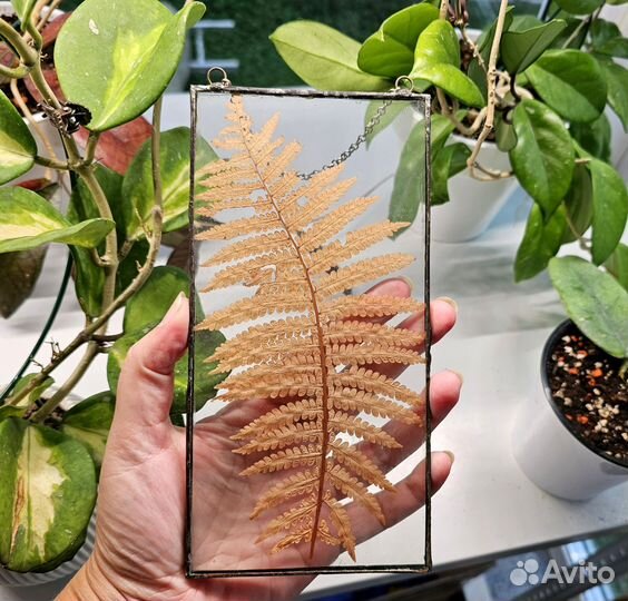 Цветы в стекле