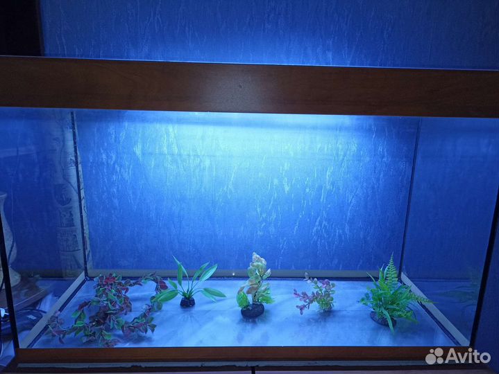 Аквариум