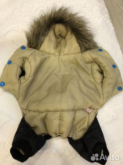 Одежда для собак