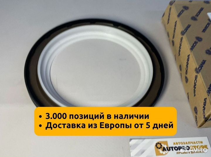 Сальник коленвала Скания дв. DSC12 145x175x13