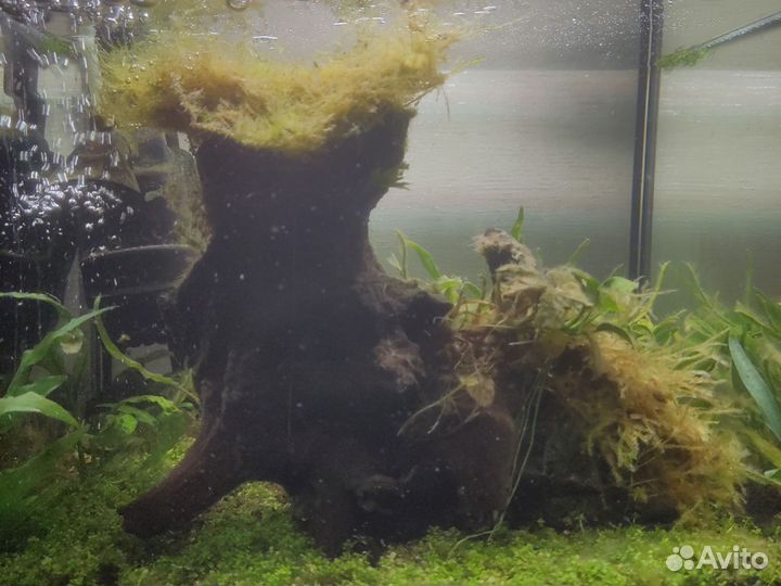 Коряга для аквариума