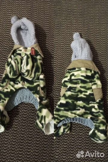 Одежда для мини йорка