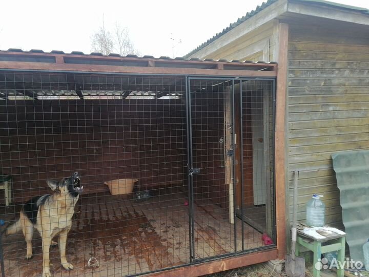 Вольер 2х3 метра