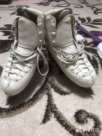 Фигурные коньки edea chorus