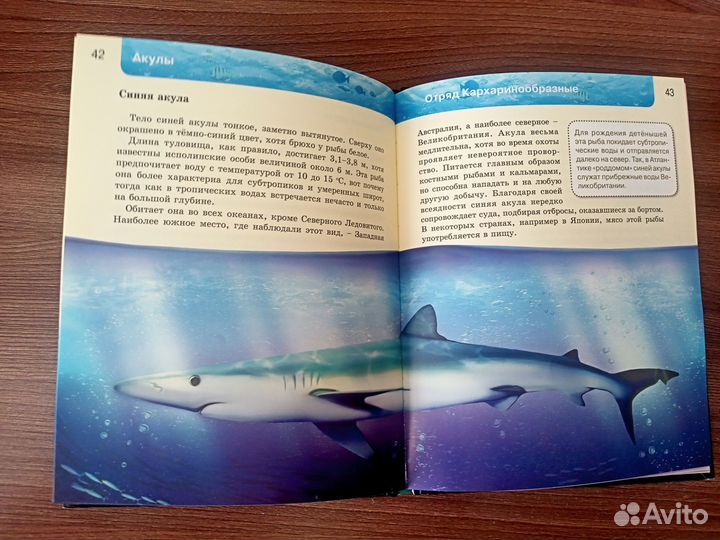 Энциклопедия Акулы