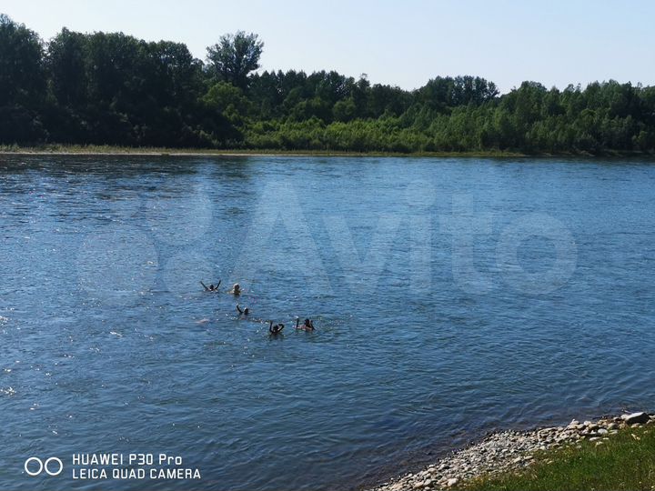 Участок 10 сот. (СНТ, ДНП)