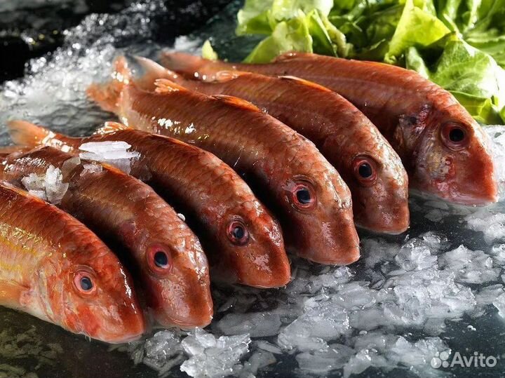 Франшиза рыбы и морепродуктов: начни бизнес