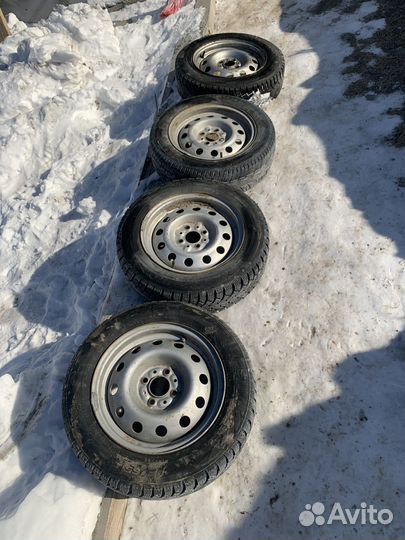 Accelera 651 175/65 R14
