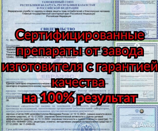 Уничтожение-клопов-тараканов-короеда