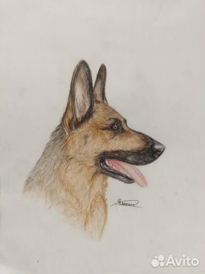 Портреты питомцев на заказ