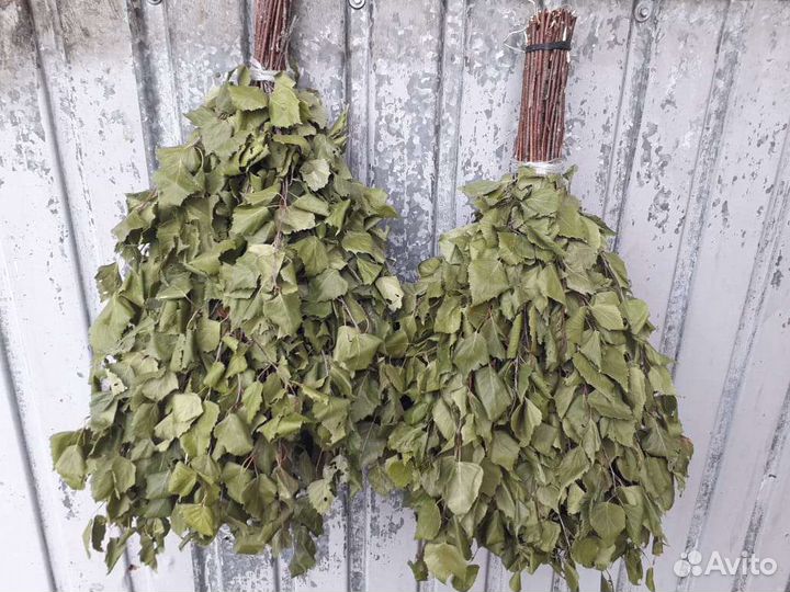 Веники банные берёза 2023