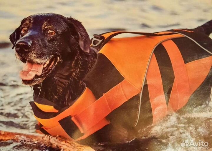 Спасательный жилет для собак