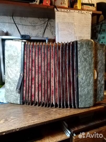 Гармонь ганинская