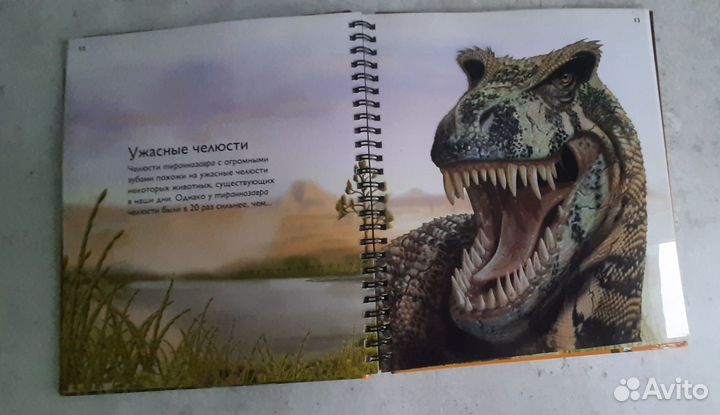 Книга 2D Динозавры