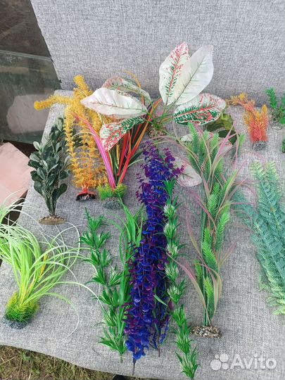 Однотонная аквариум из Орстекла с под ставкой