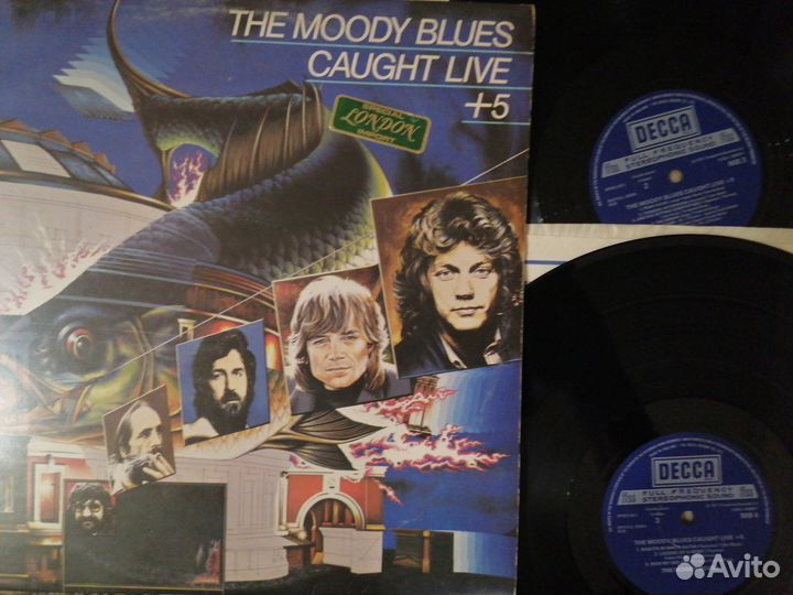 Peter Frampton76/The Moody Blues 69/Status quo 71