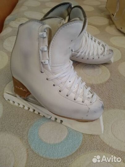 Коньки Edea motivo