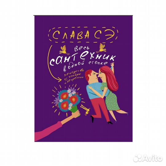 Книга Сантехник Слава Сэ