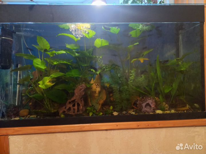 Аквариум 300 литров