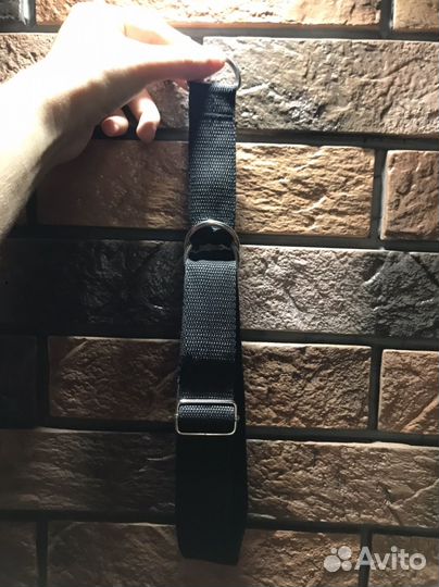 Амуниция для собак ручной работы