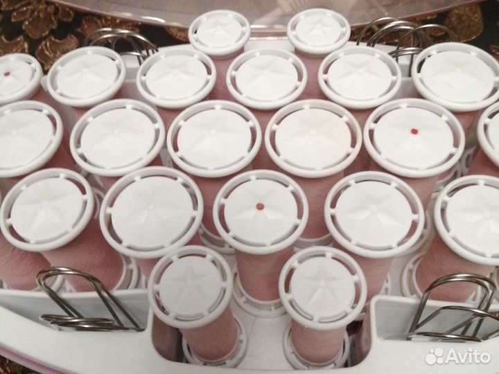 Элеутробигуди benetone