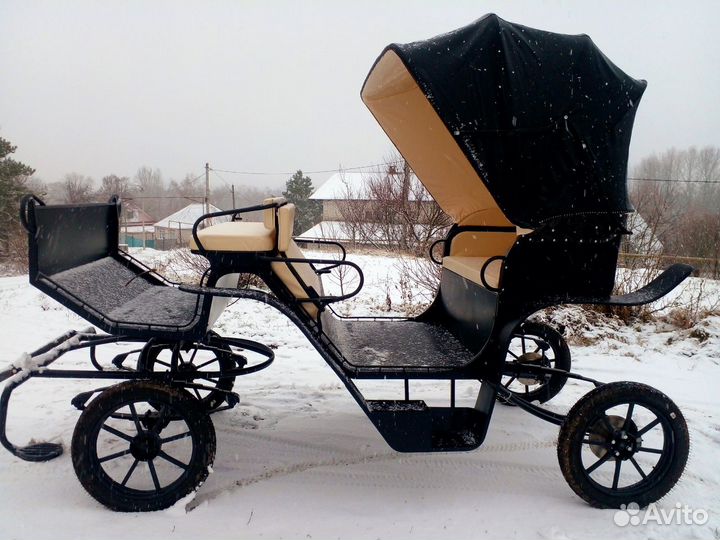 Фаэтон, карета, сани для лошадей и пони