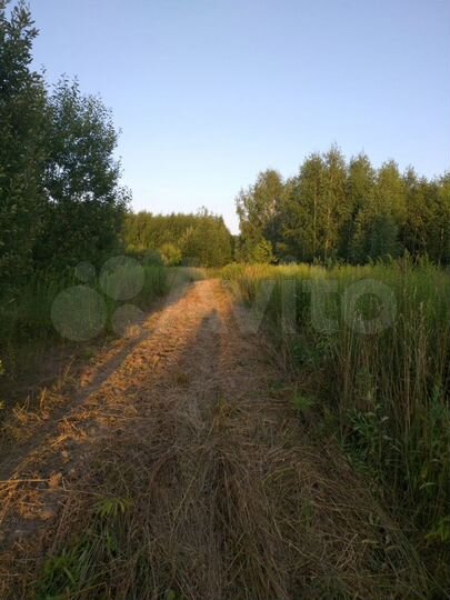 Участок 19,4 сот. (СНТ, ДНП)