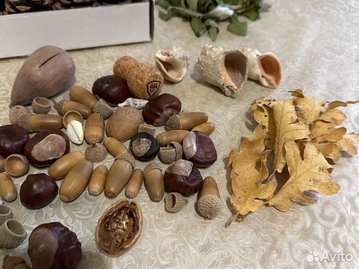 Природные материалы поделок шишки желуди/каштаны