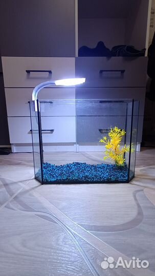 Аквариум 20 литров