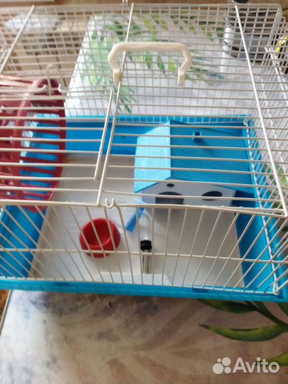 Клетка для хомяка бу