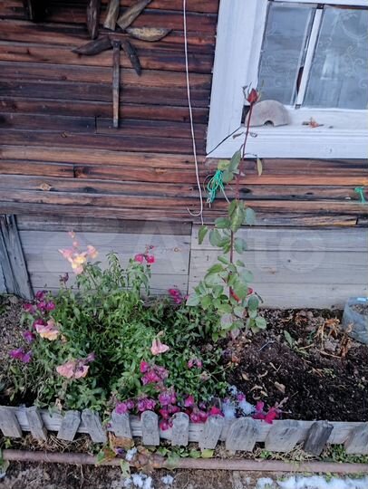 Дача 20 м² на участке 5,8 сот.