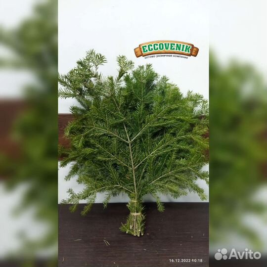 Веники для бани и сауны