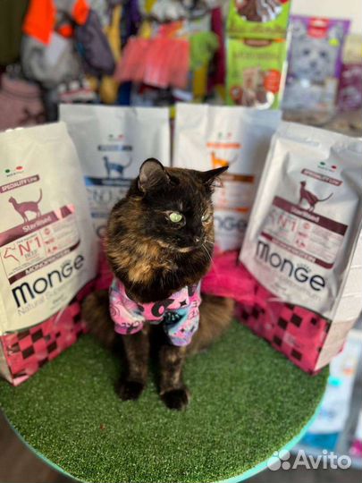 Корм Монж (Monge) для собак и кошек