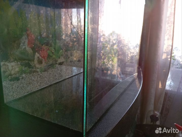 Аквариумы 30 л., 50 л., 100 л