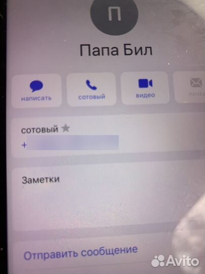 Продажа голубей