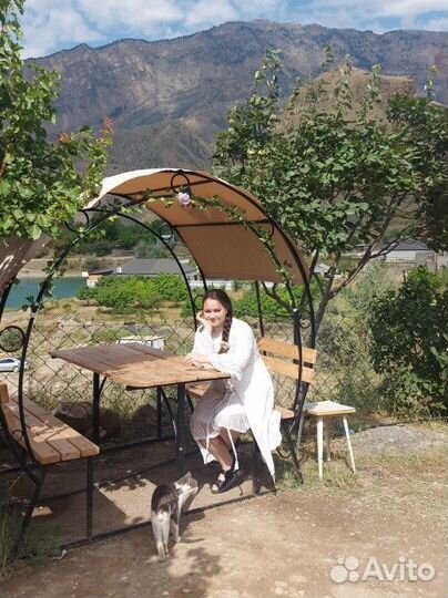 Котоняня, кэтситтер, няня для вашего котика