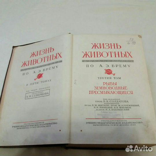 Жизнь животных по Брему. Северцов