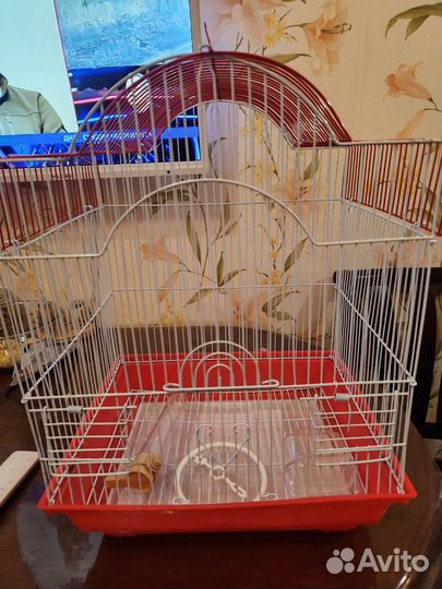 Клетка для среднего попугая