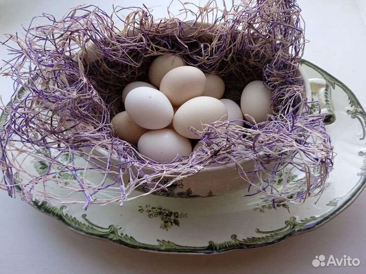 Домашние куриные яйца